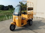      Bajaj Chetak 250 (TukTuk) 2008  13
